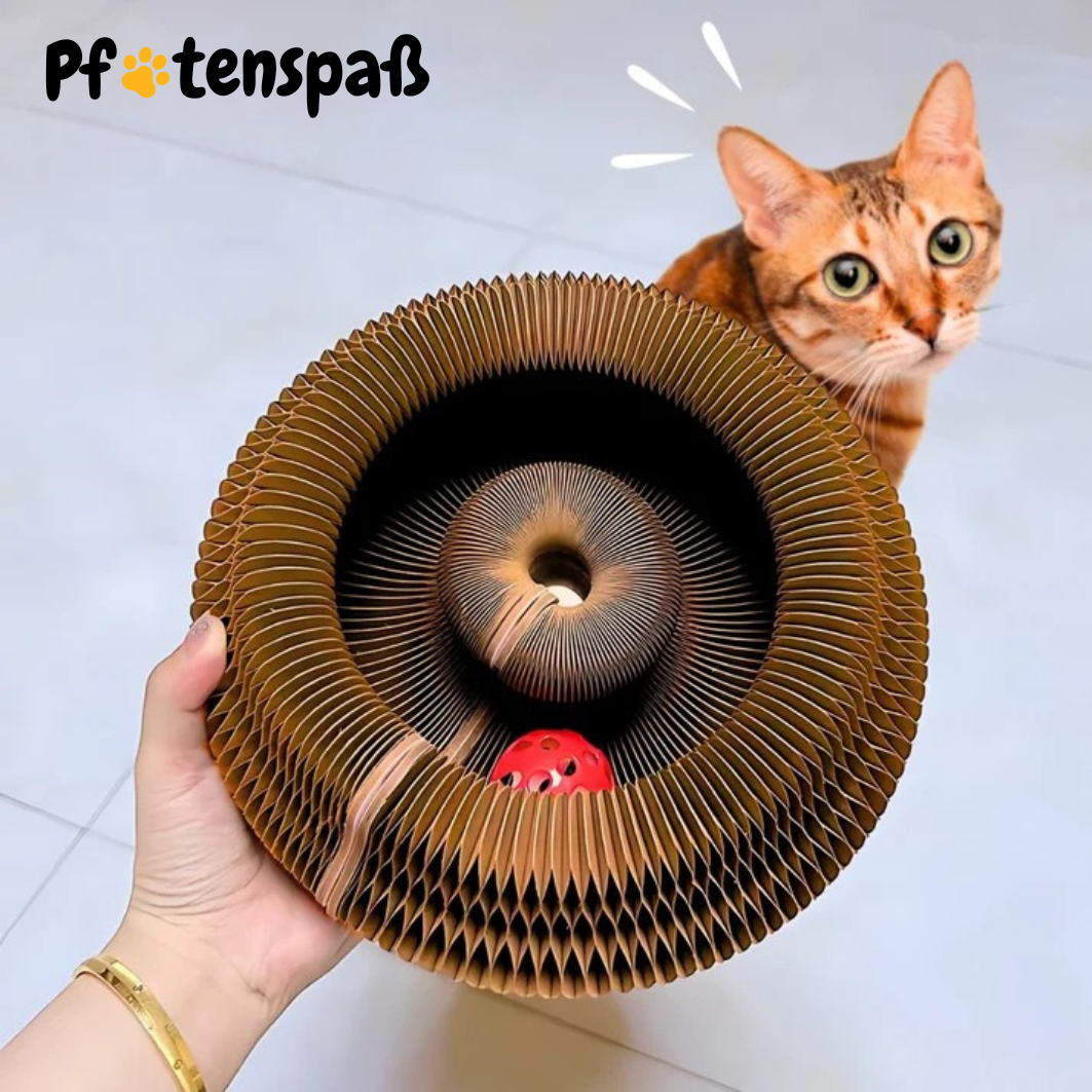 Pfotenwirbel - Der Bestseller