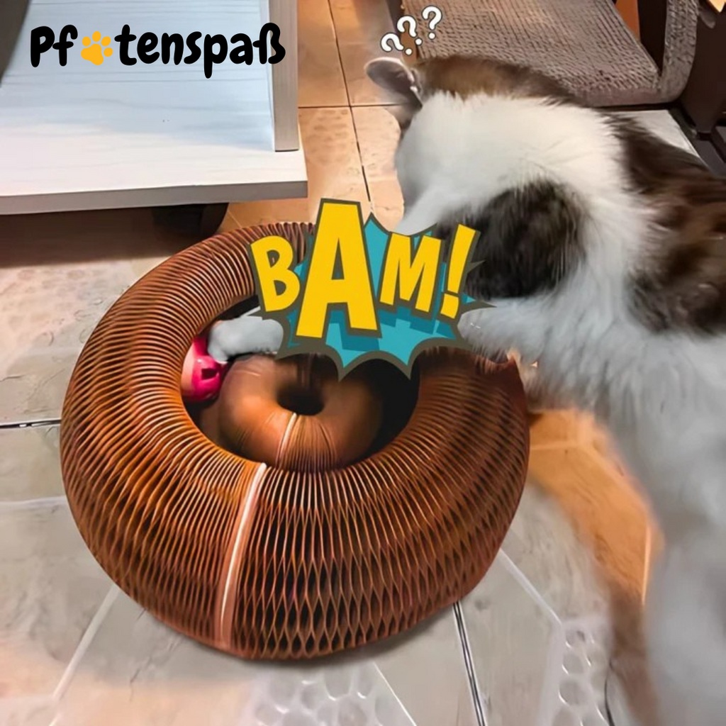 Pfotenwirbel - Der Bestseller