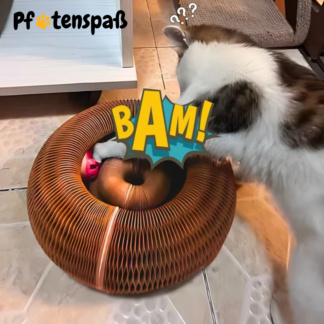 Pfotenwirbel - Der Bestseller