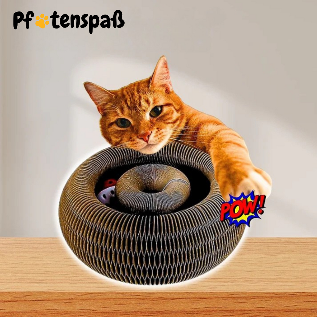 Pfotenwirbel - Der Bestseller