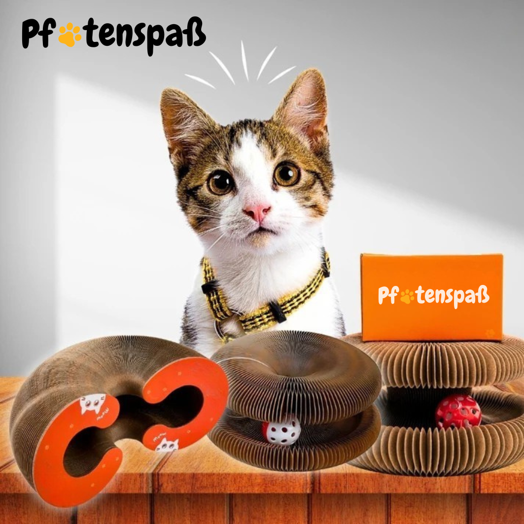 Pfotenwirbel - Der Bestseller